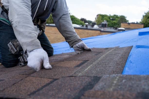 Best Emergency Roof Repair  in Toulon, IL