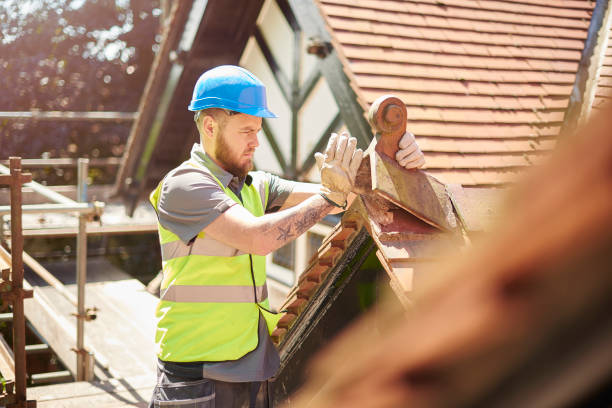 Best Residential Roofing Contractor  in Toulon, IL