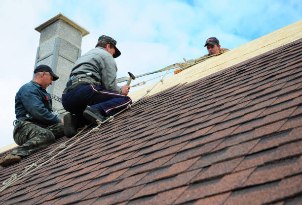 Best Roof Repair Specialists  in Toulon, IL