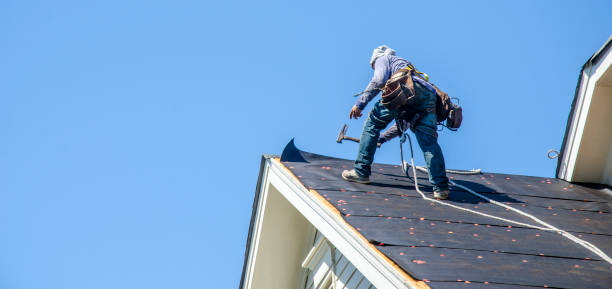 Best Local Roofing Companies  in Toulon, IL